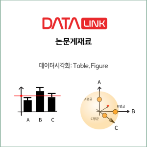 DataLink Forum 논문 게재료